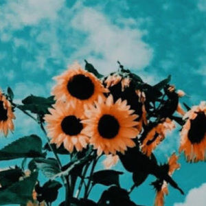 Meet your Posher, Lena